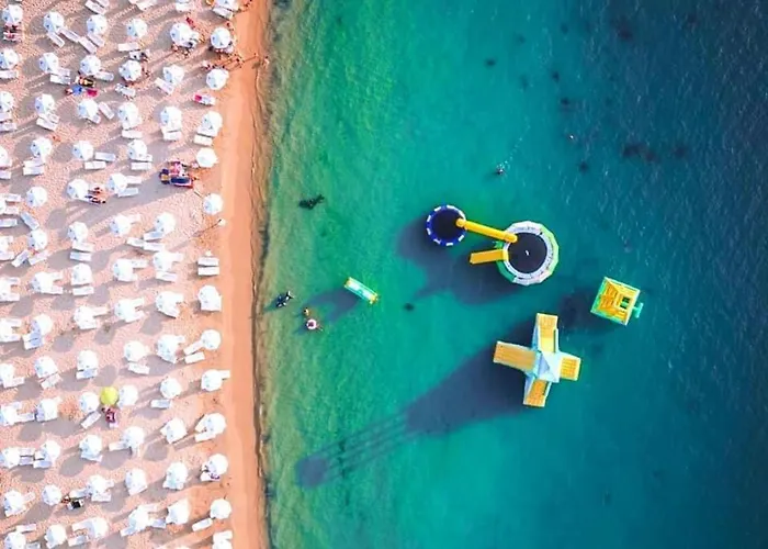 Family Teos キテン